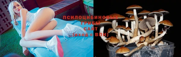 прущие крисы Алексеевка