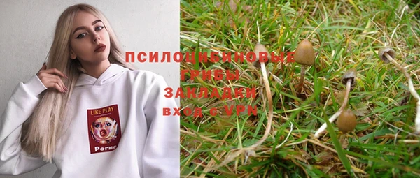 прущие крисы Алексеевка