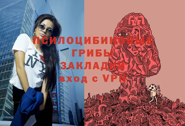 прущие крисы Алексеевка